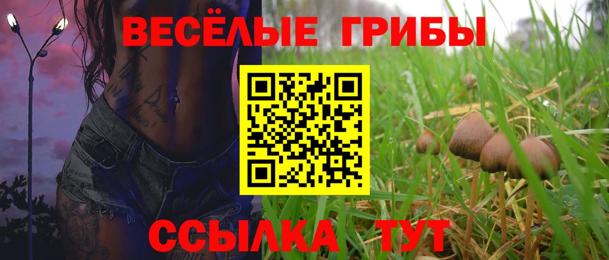 Наро-Фоминск  Псилоцибиновые грибы MAGIC MUSHROOMS  Вход с VPN 